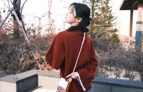 1991年属羊的是啥子命：2024年运势详细解答 1991年属羊的是土命吗